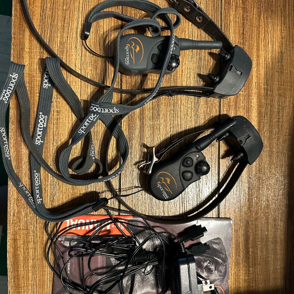 Black Dog Training Collar
